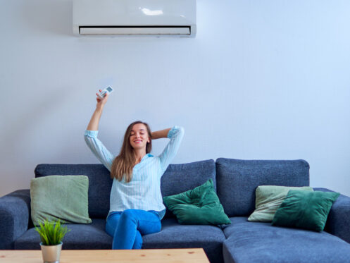 Ductless Mini-Split