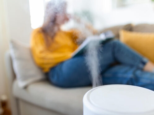 Humidifier